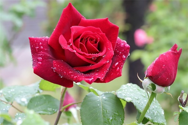 男孩带农村的好听的网名