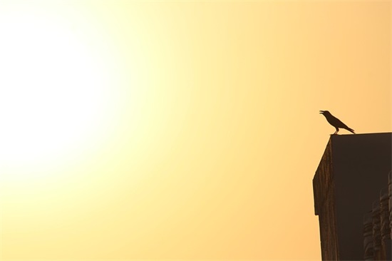 带网络热梗的网名大全