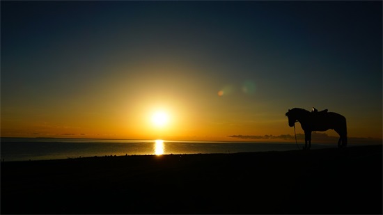 玩网名字带标角带姐的网名