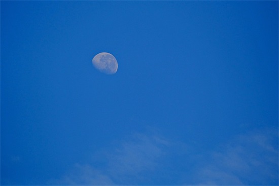 带老头的女生网名