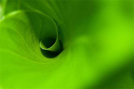 带亮字的意欲网名大全