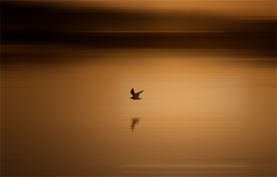 带漂亮符号的网名女