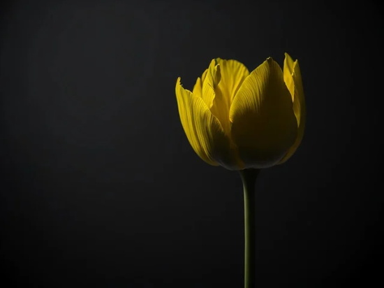 带手机的网名女生霸气的