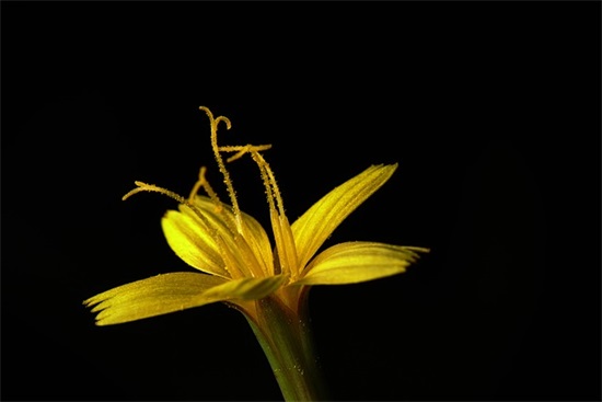 带友字昵称男的网名