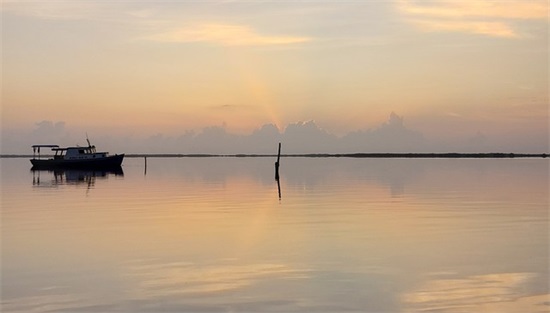 好听的网名带光的字