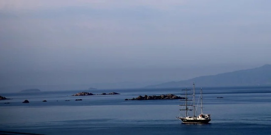 带酒的好玩的网名女孩