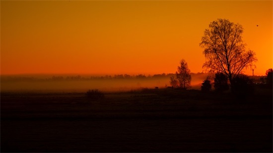 带阳字的网名毕业的