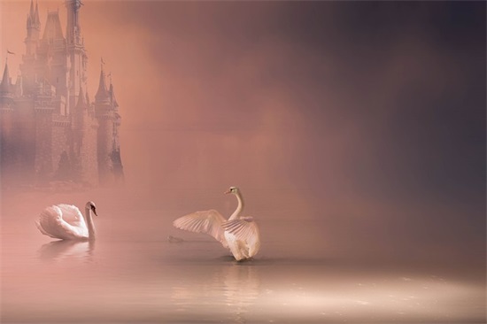 带猪的网名 群名