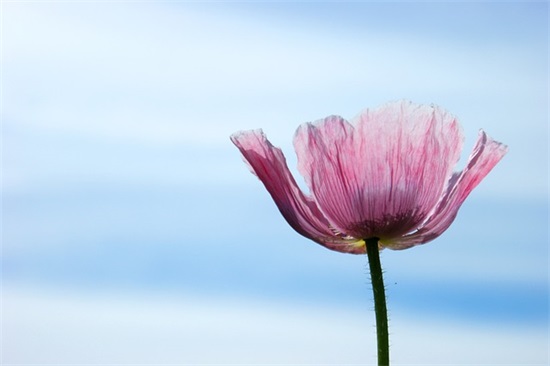 带宏莉的网名女生名字