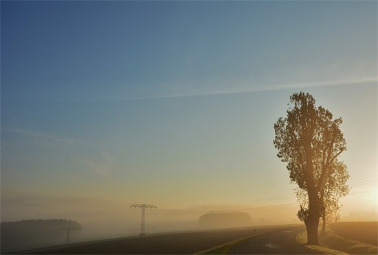 讽刺自己卑微的句子(精选38句)