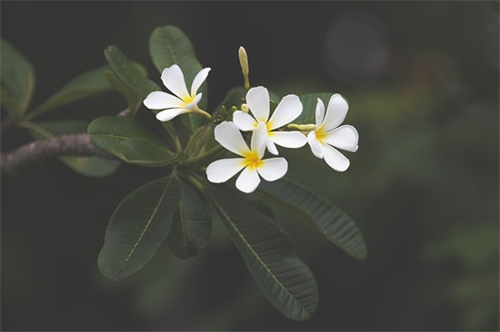 感叹人生短暂的句子 生命很短暂的说说(精选46句)