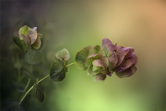 姐妹小聚心情短语经典 姐妹相聚开心的句子