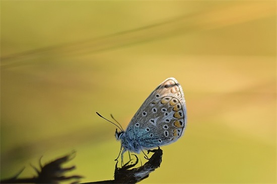 抖音热门文案开心 抖音开心俏皮的句子(精选38句)
