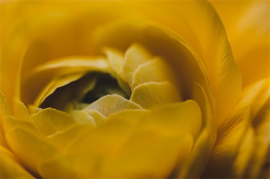 优美的句子摘抄短一点 好句子摘抄短一点(精选59句)