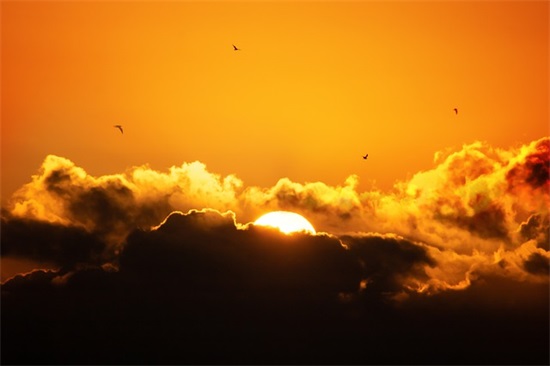 悲伤绝望的句子