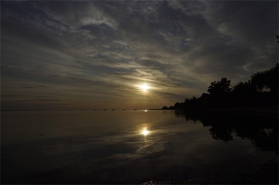 余生有你就足够的句子(精选49句)