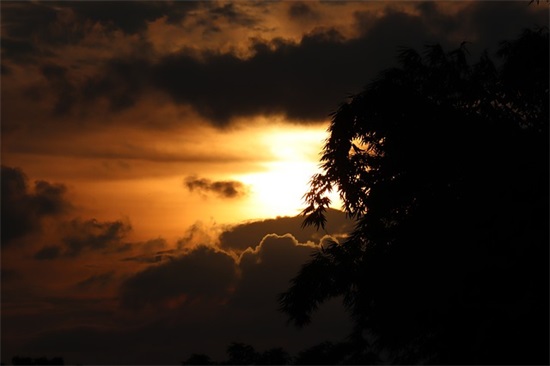 陪伴孩子成长温暖句子 有种幸福叫陪着你长大
