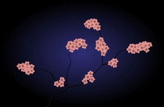 又长大一岁的经典句子 调侃自己生日的幽默句子