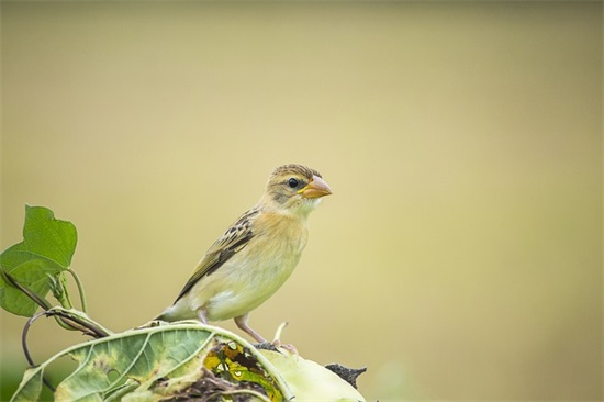 关于健身房发朋友圈的句子 健身房出汗发的朋友圈的句子