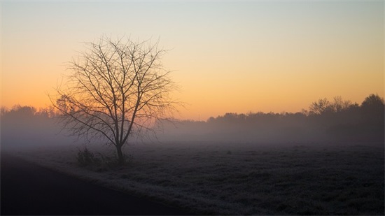 和家人在一起的幸福句子(精选43句)