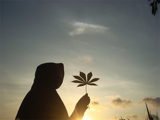 渐行渐远的感情句子 有些人渐行渐远的说说