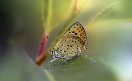 起个网名带朵朵的