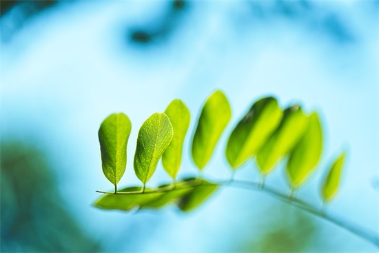 带白字的网名带符号