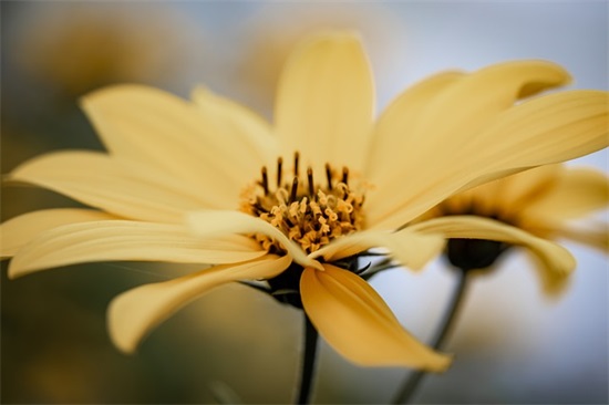 带红姐的霸气网名