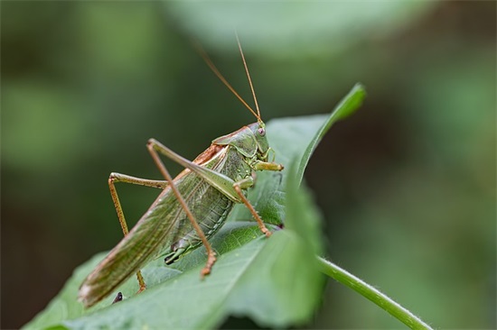 写给朋友毕业留言31条