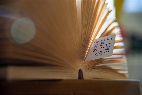 间接骂语文老师说说