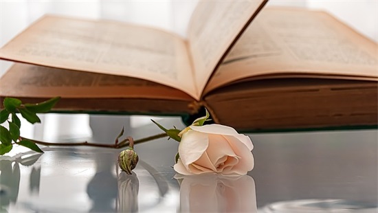 2024描写战争场面成语