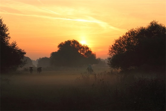 祝父亲节说说大全