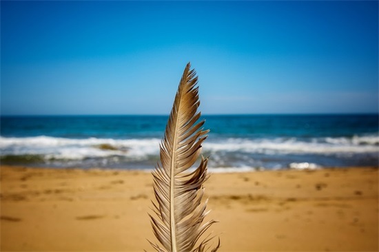 目送的好词好句 目送的好词好句