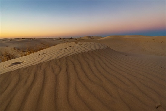 最美劳动节手抄报内容