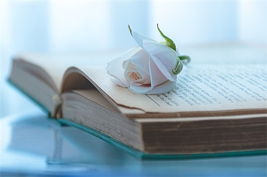 鲁滨逊漂流记好词好句摘抄