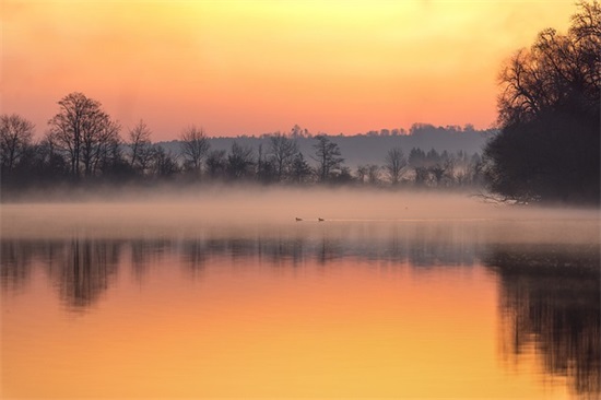 狗牙雨好词好句