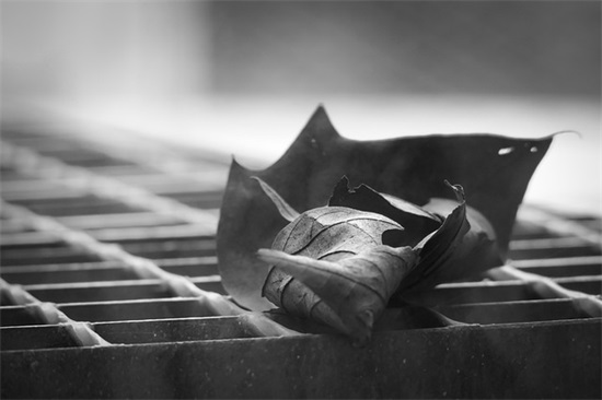 古风生日文案精选65句