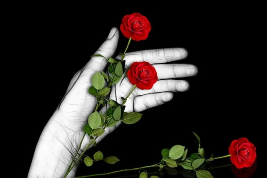 海边旅游的心情短语(42句)