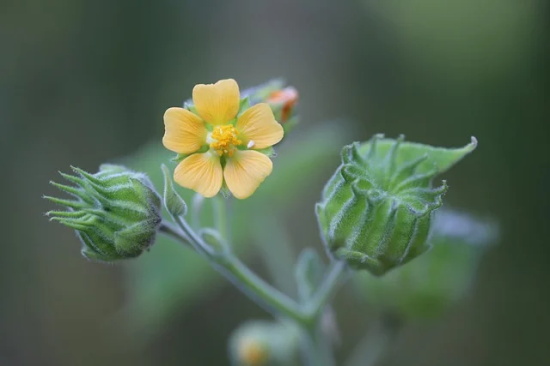 高校毕业横幅文案48条