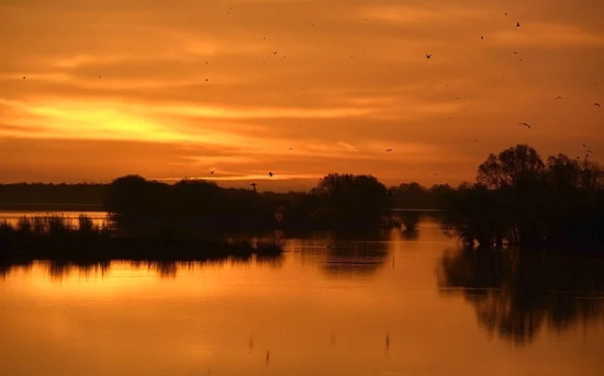 闹心说说心情短语摘录73句