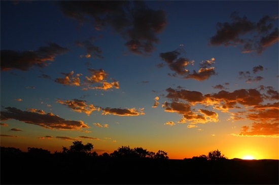 一年级下册语文期末试卷