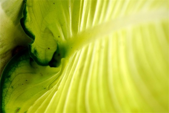 少年时代观后感15篇