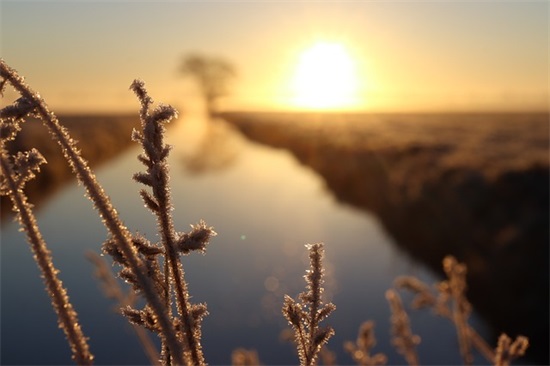 赞美志愿者的短句46条