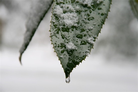 毕业留言给同学寄语短句精选20条