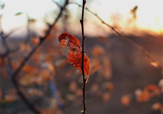 qq相册名称 非主流空间相册名字