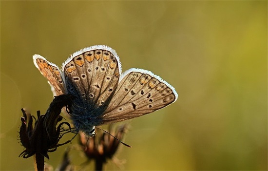 cf情侣名字大全 好听的CF游戏名字