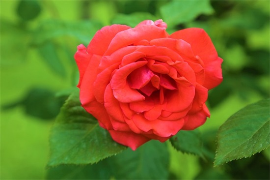 王者荣耀5黑名字大全霸气 王者荣耀统一5黑名字