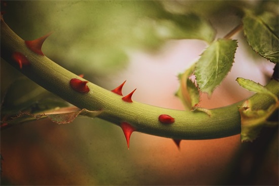 唯美古风七个字游戏情侣名字