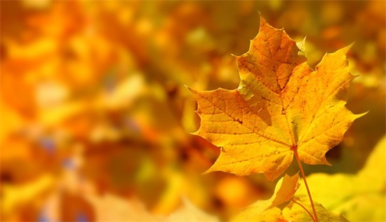 好听古风游戏帮会名字