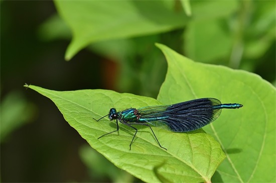 qq飞车女生名字大全300个